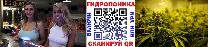 Бошки марихуана планчик Купить Еманжелинск